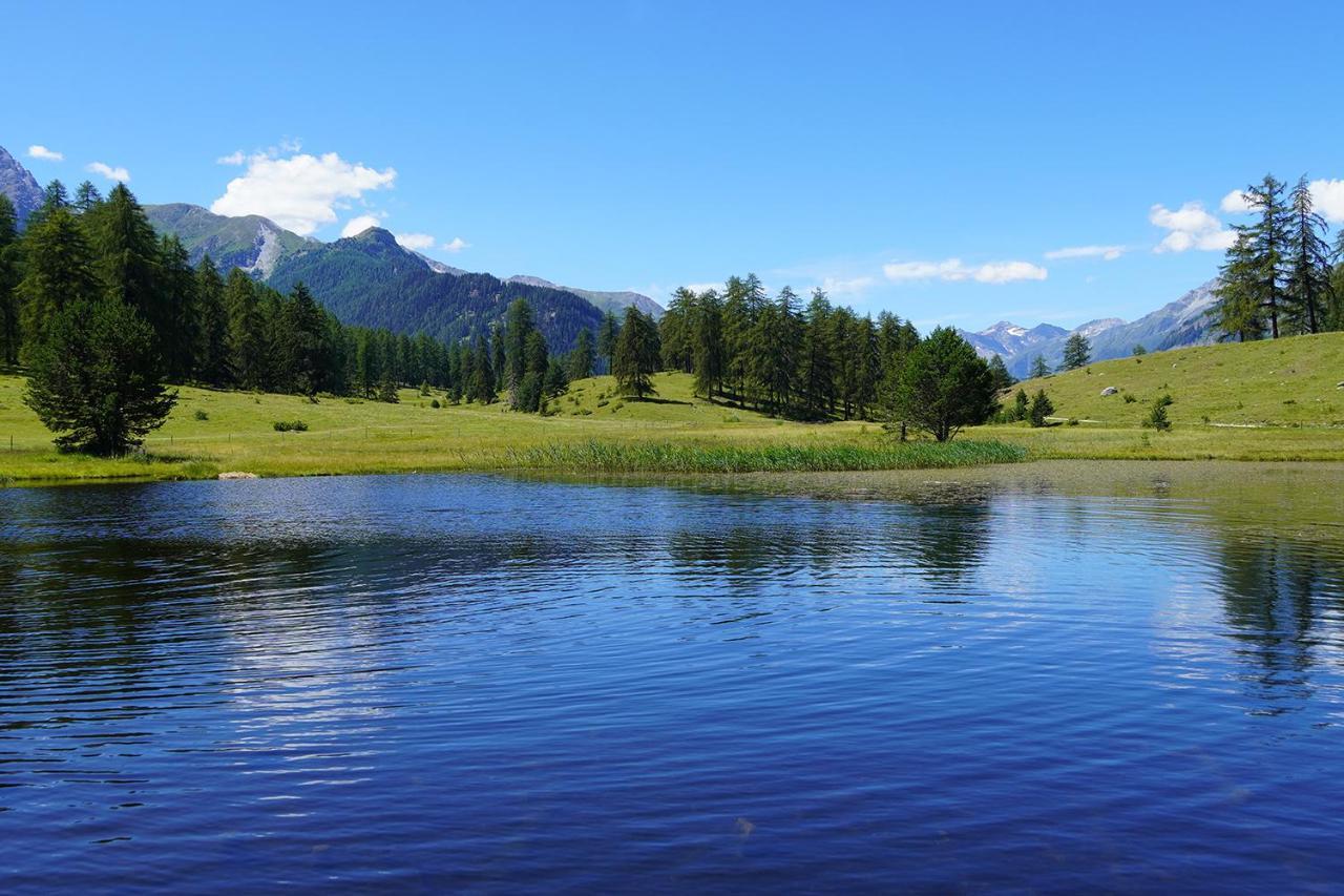 Chasa Fent, Sent Scuol Im Engadin Lägenhet Exteriör bild